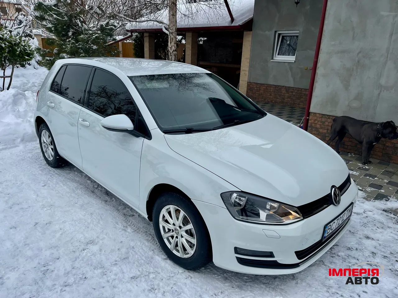 Volkswagen Golf - фото 27