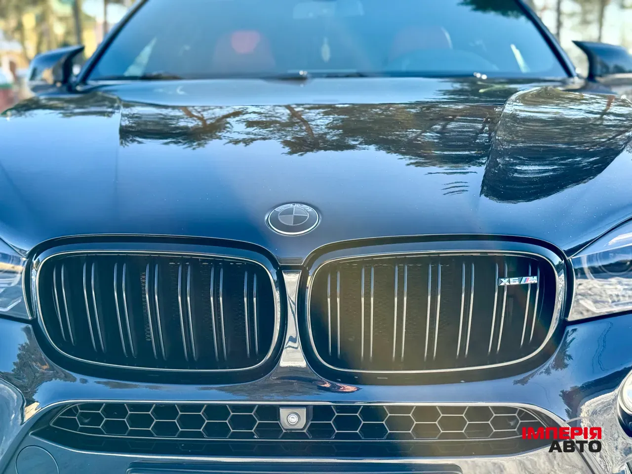BMW X6 - фото 16