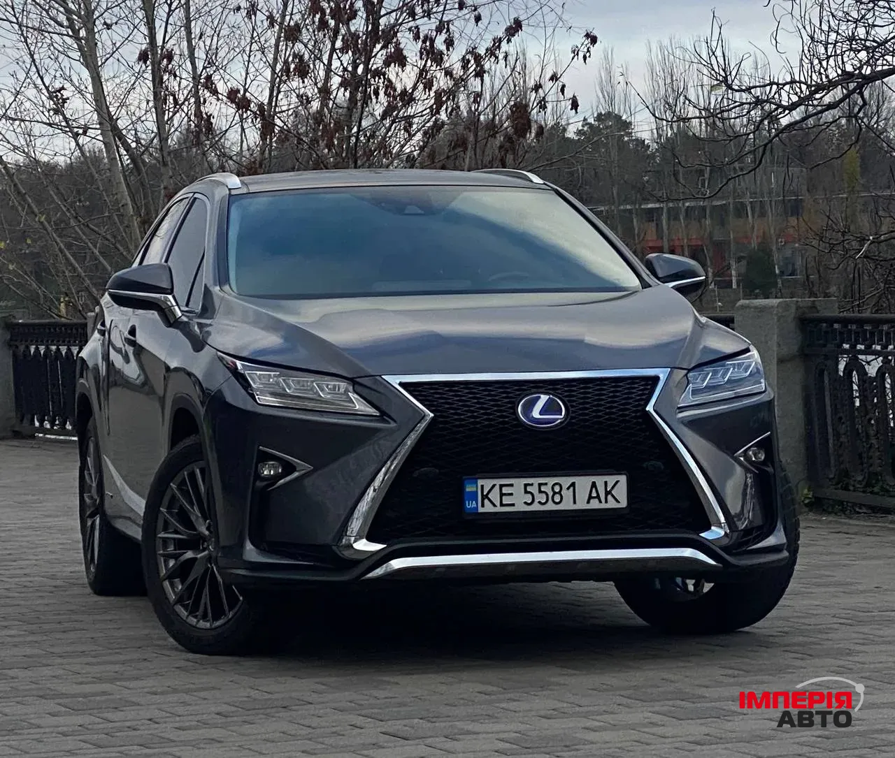 Lexus RX - фото 3