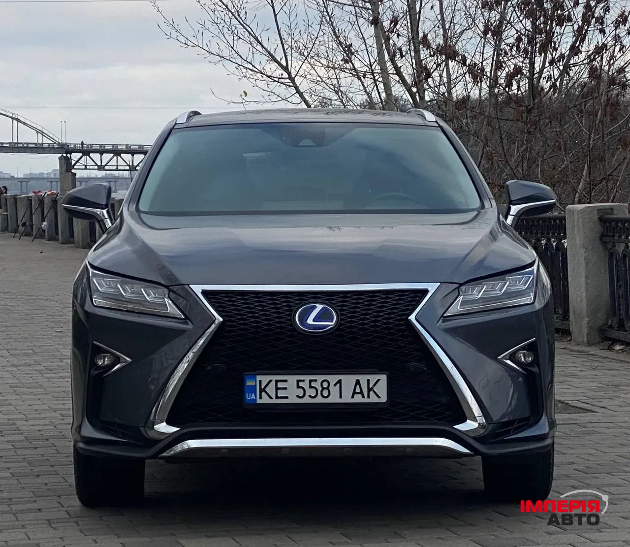 Lexus RX - фото 10