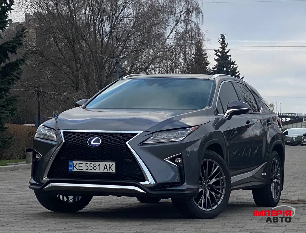 Lexus RX - фото 4