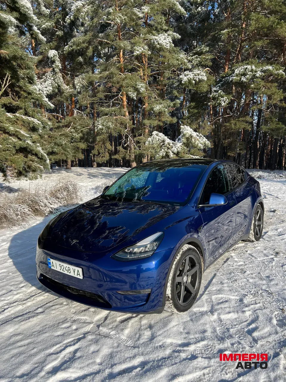 Tesla Model Y - фото 5