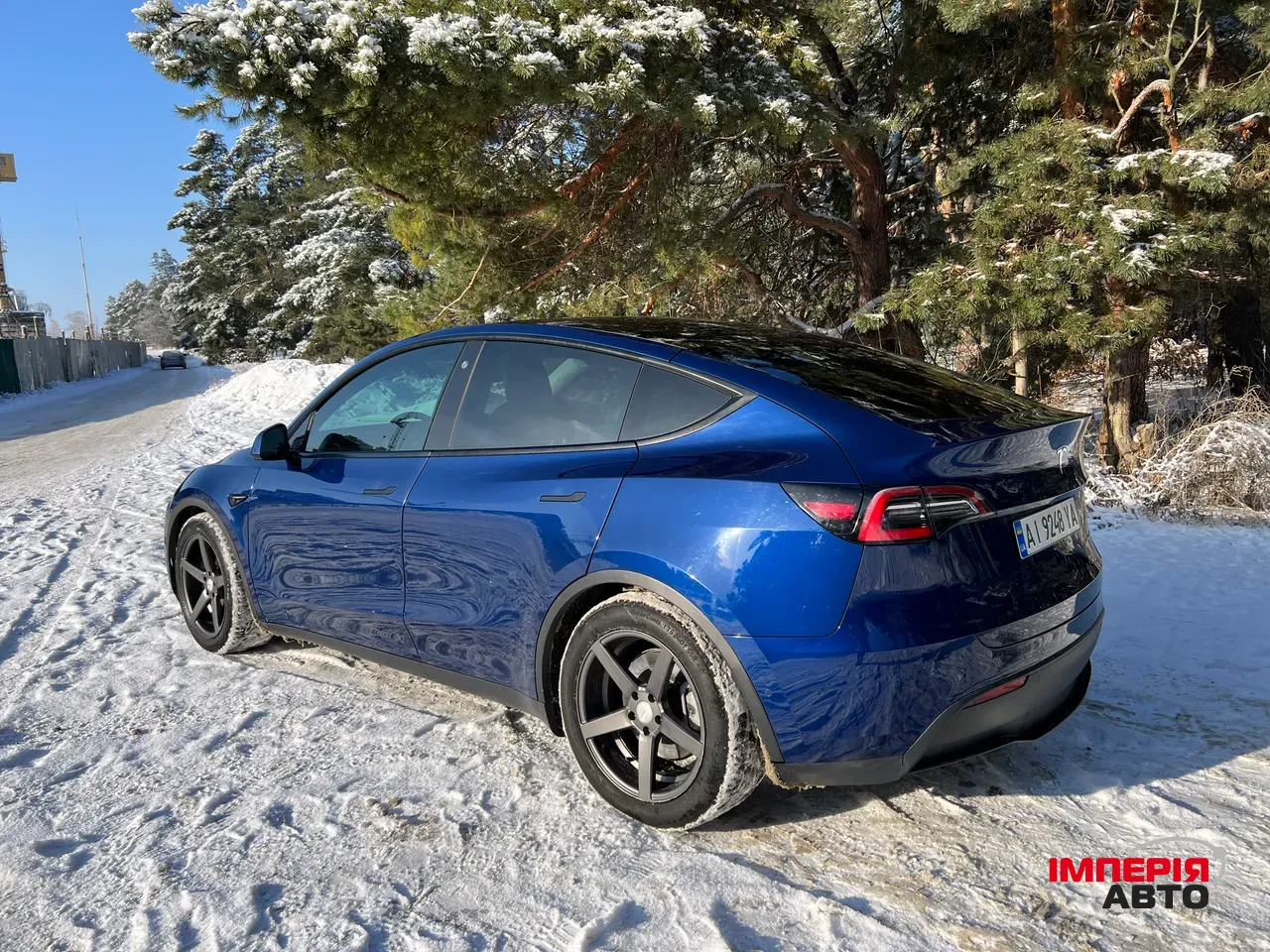 Tesla Model Y - фото 6