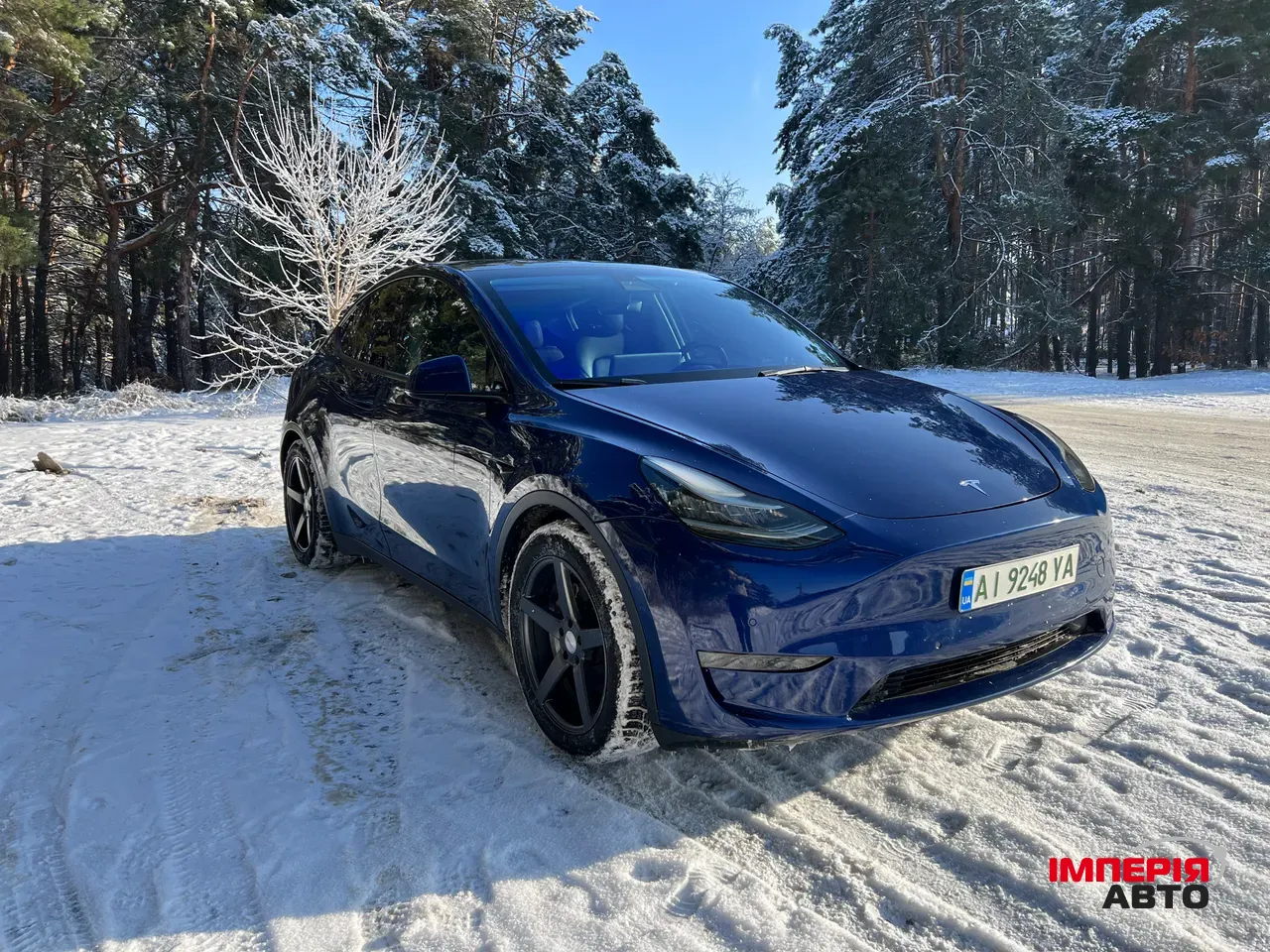 Tesla Model Y - фото 1