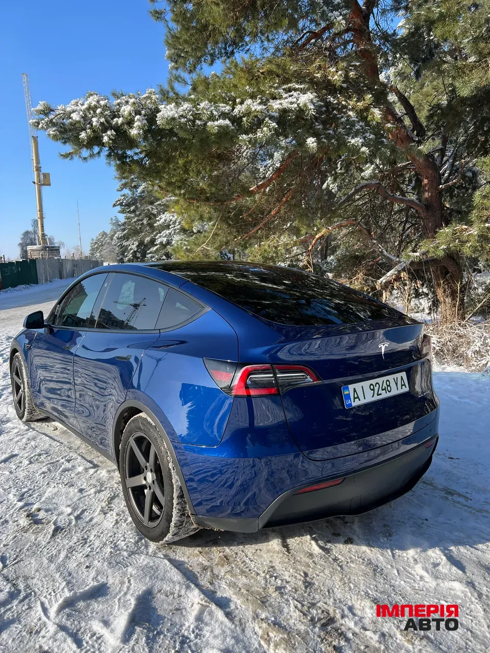 Tesla Model Y - фото 3