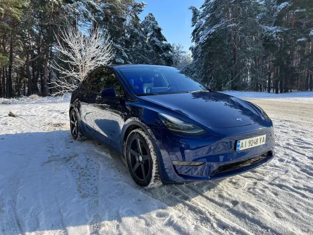 Tesla Model Y - фото 1