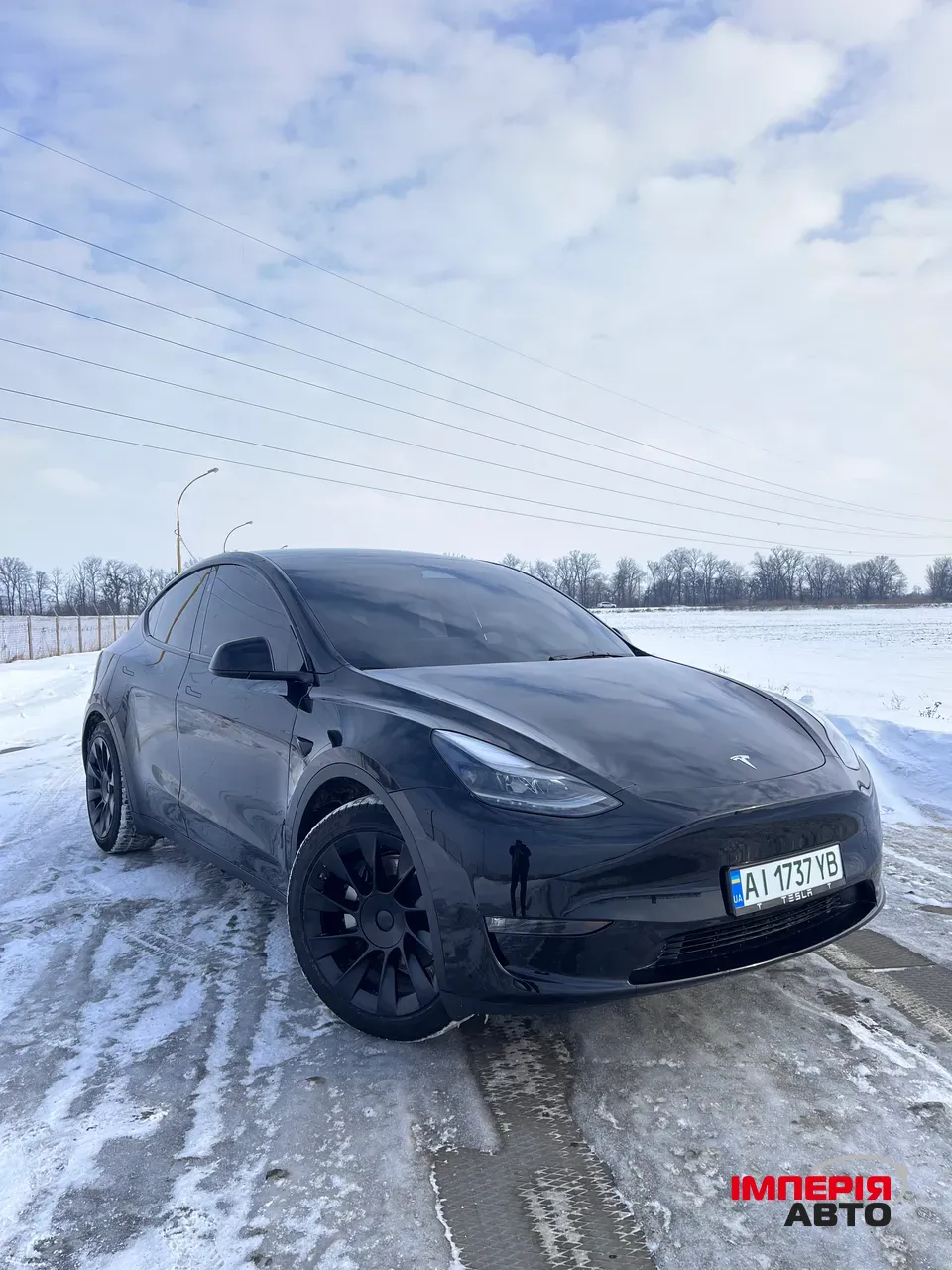 Tesla Model Y - фото 1