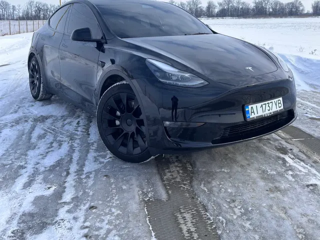 Tesla Model Y - фото 1