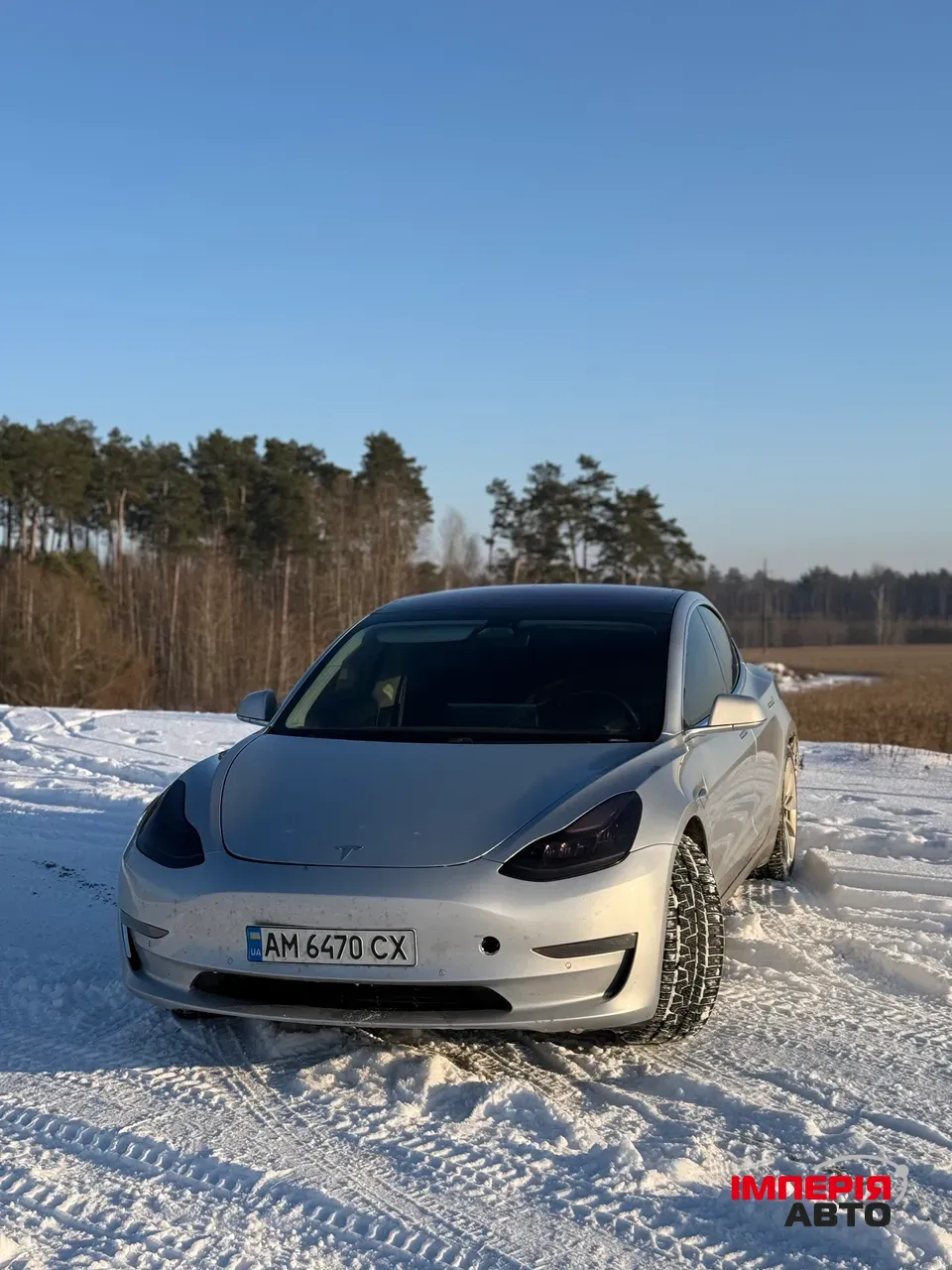 Tesla Model 3 - фото 3