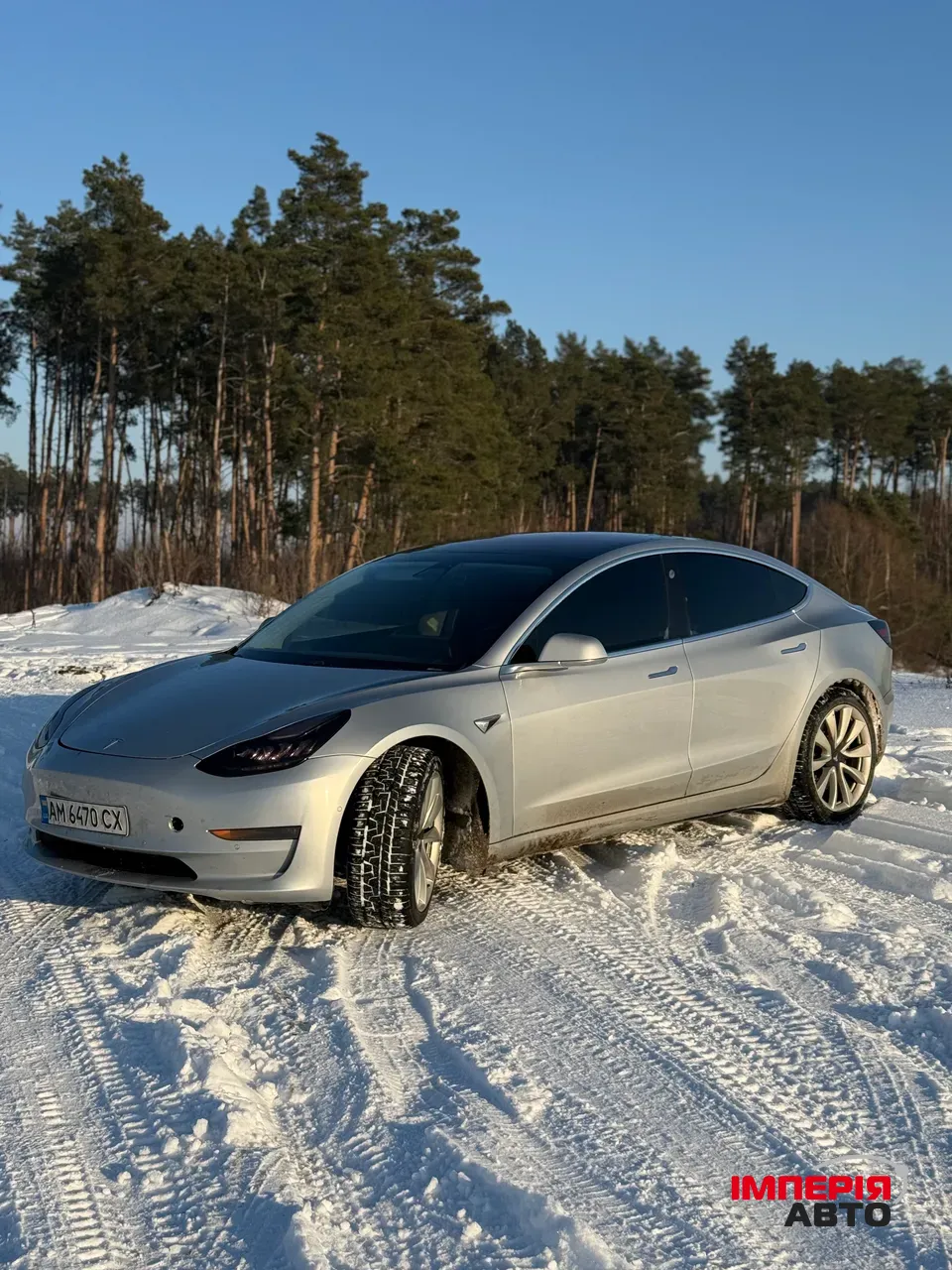 Tesla Model 3 - фото 4