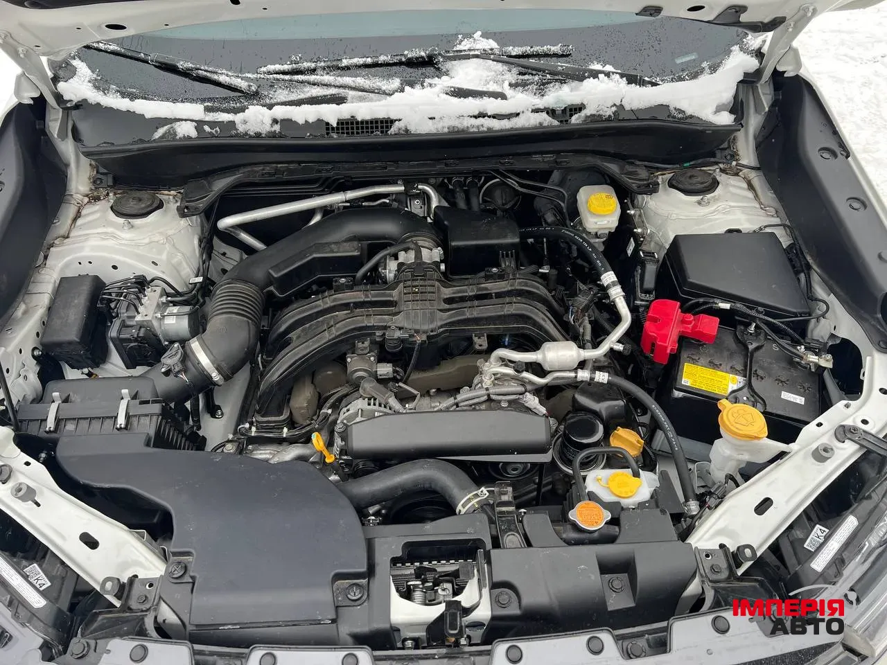 Subaru Forester - фото 4