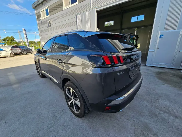 Peugeot 3008 - фото 1