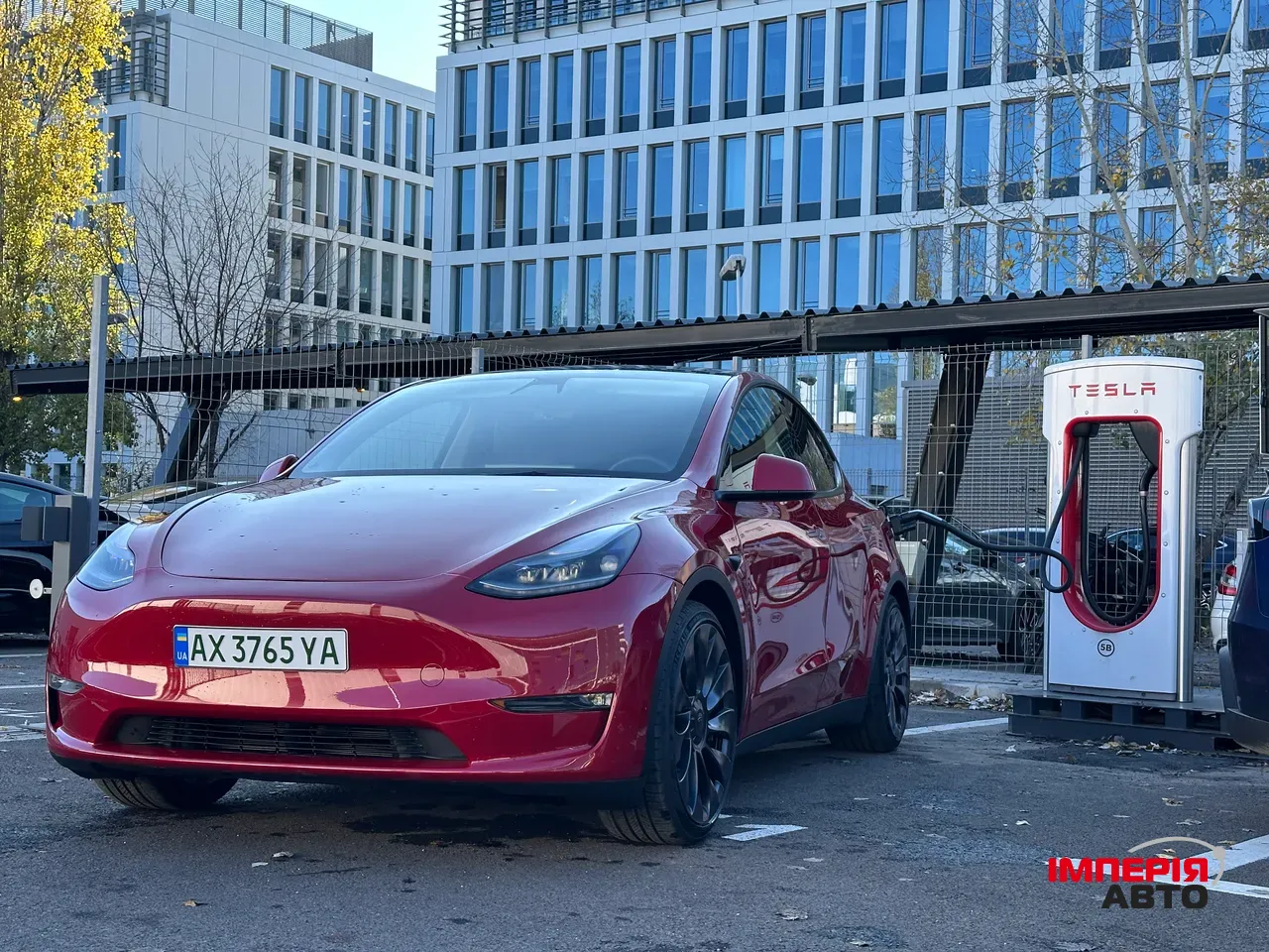 Tesla Model Y - фото 2