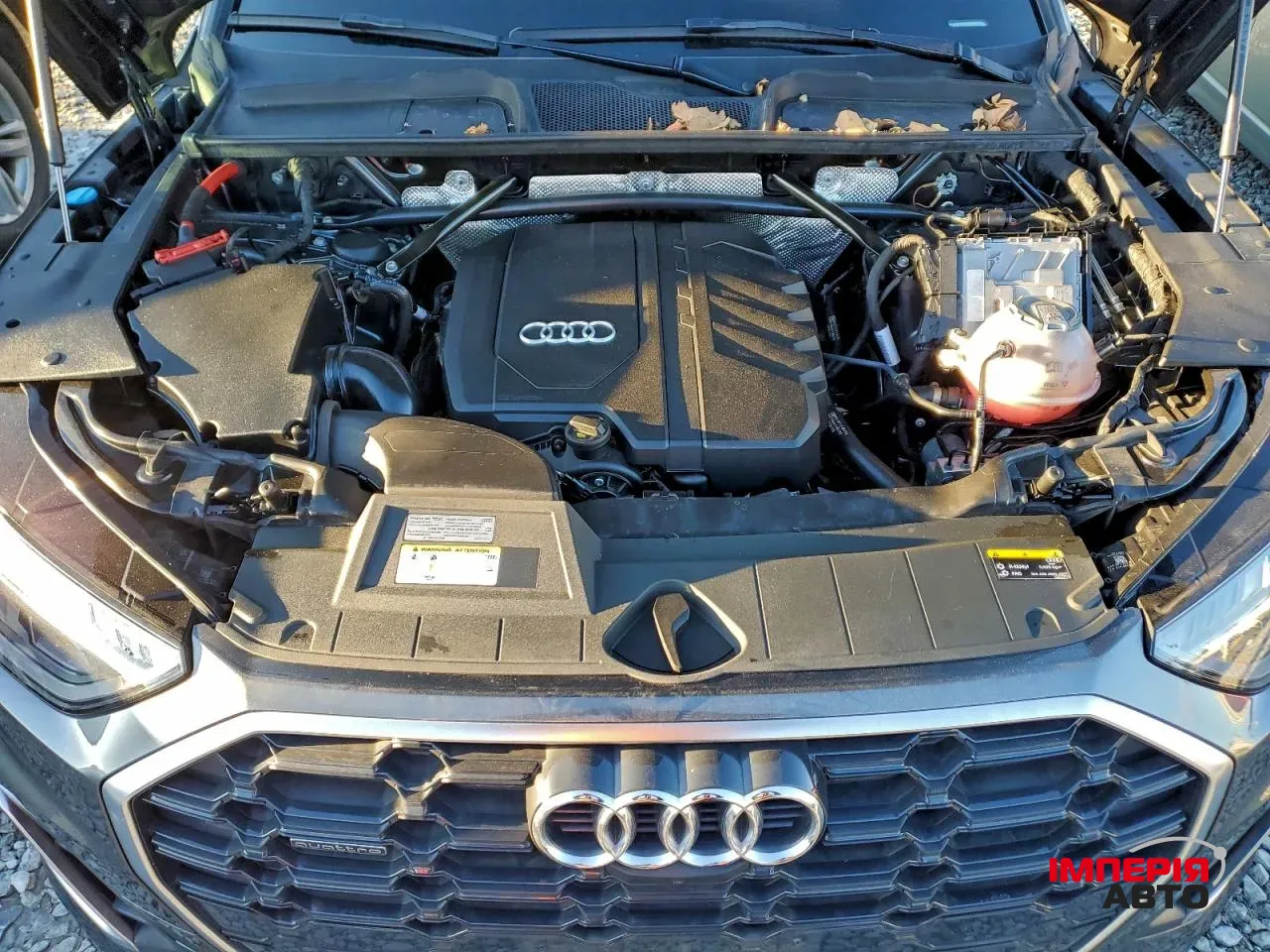 Audi Q5 - фото 10