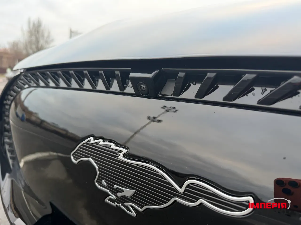 Ford Mustang Mach-E - фото 25