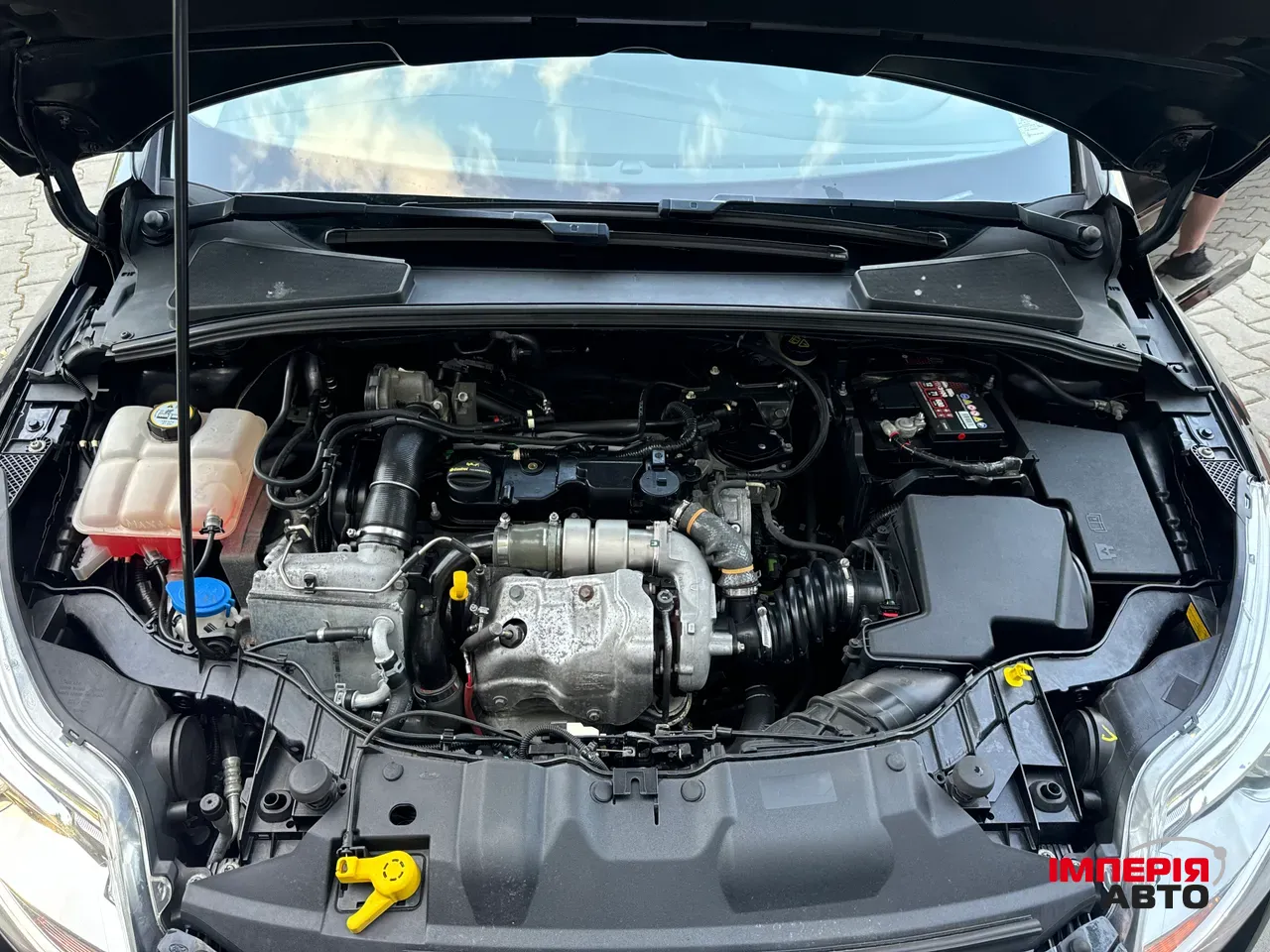 Ford Focus - фото 34