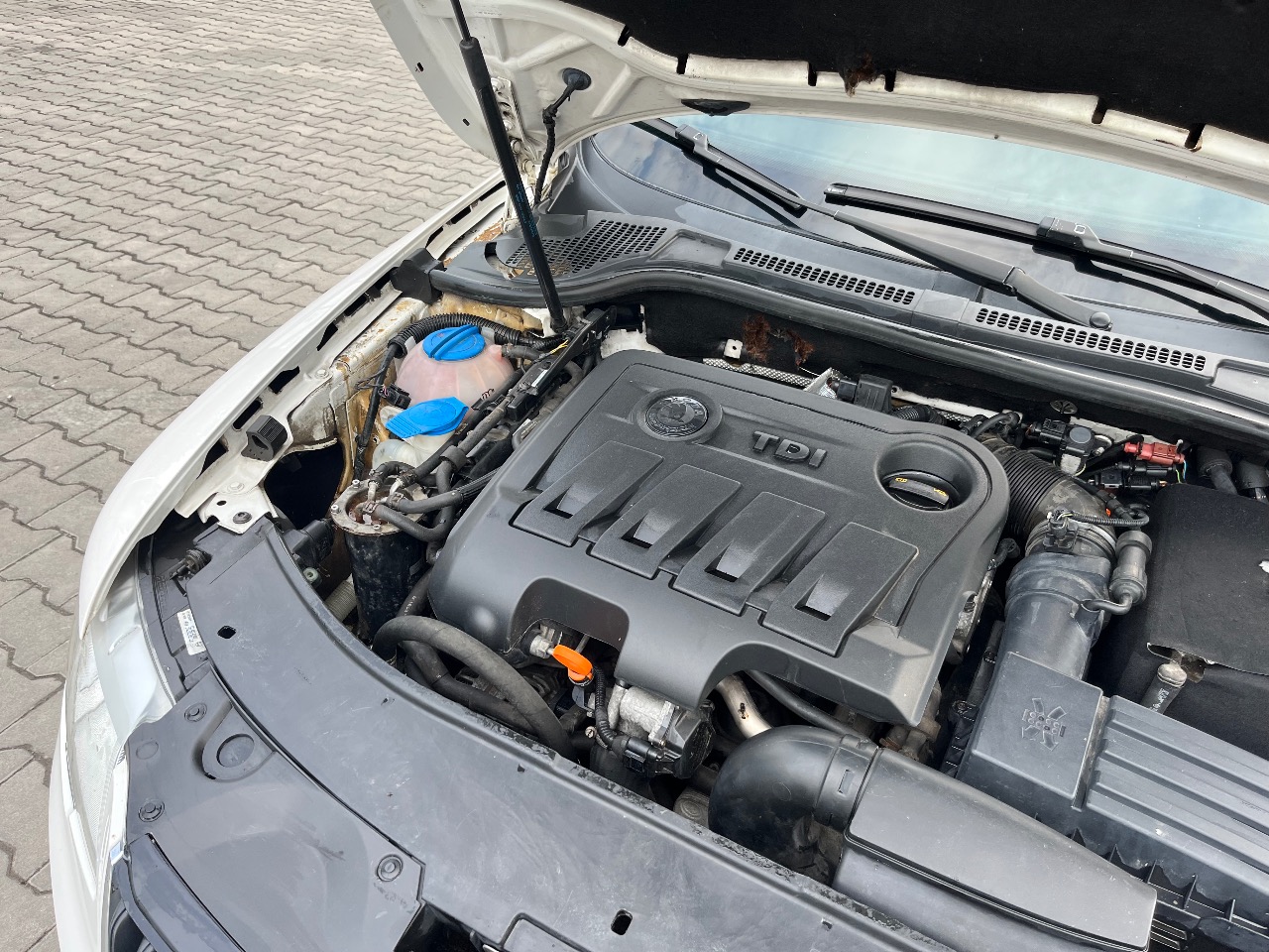 Skoda Superb - фото 12