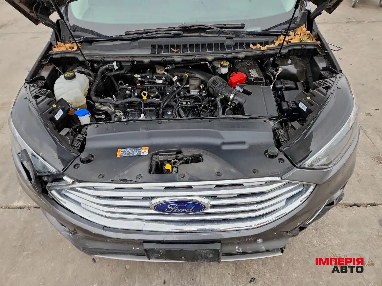 Ford Edge - фото 12