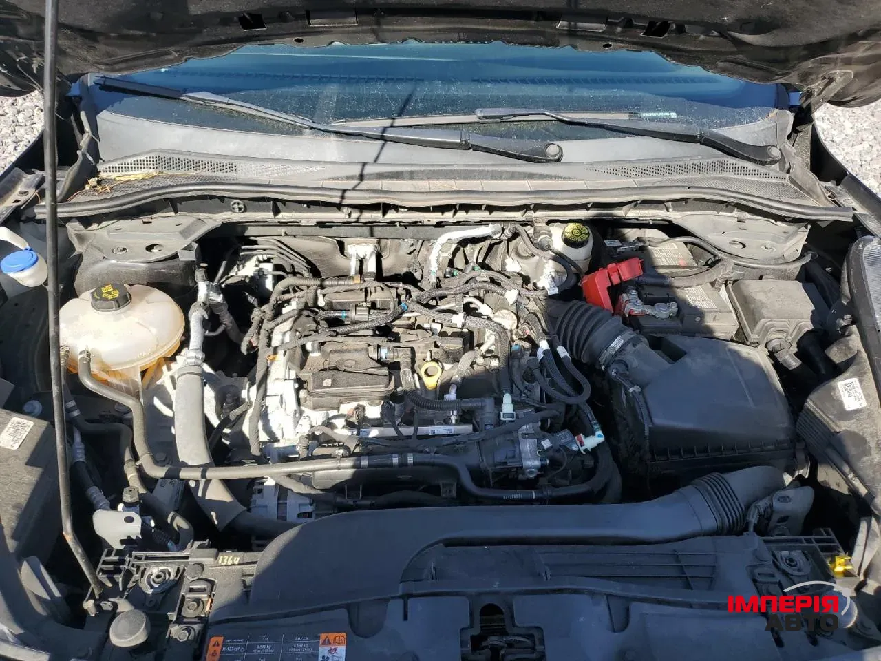 Ford Escape - фото 12