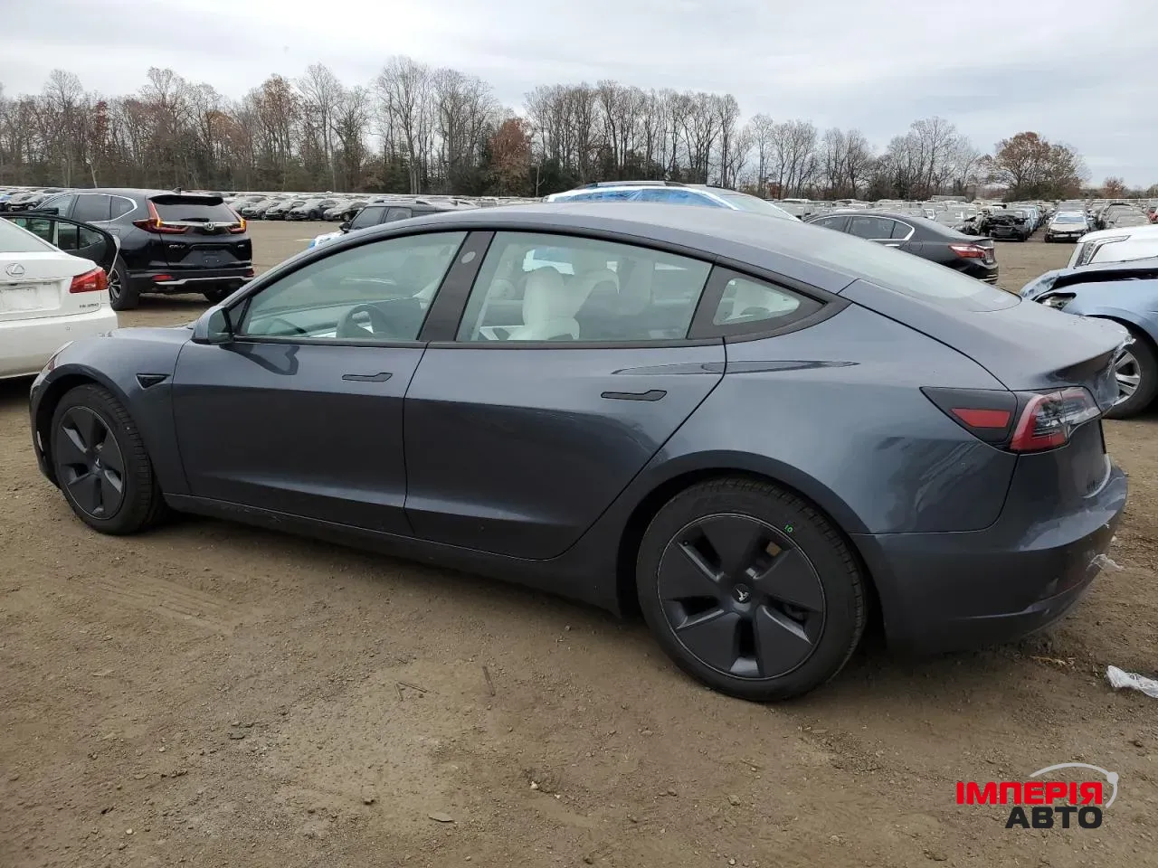 Tesla Model 3 - фото 4