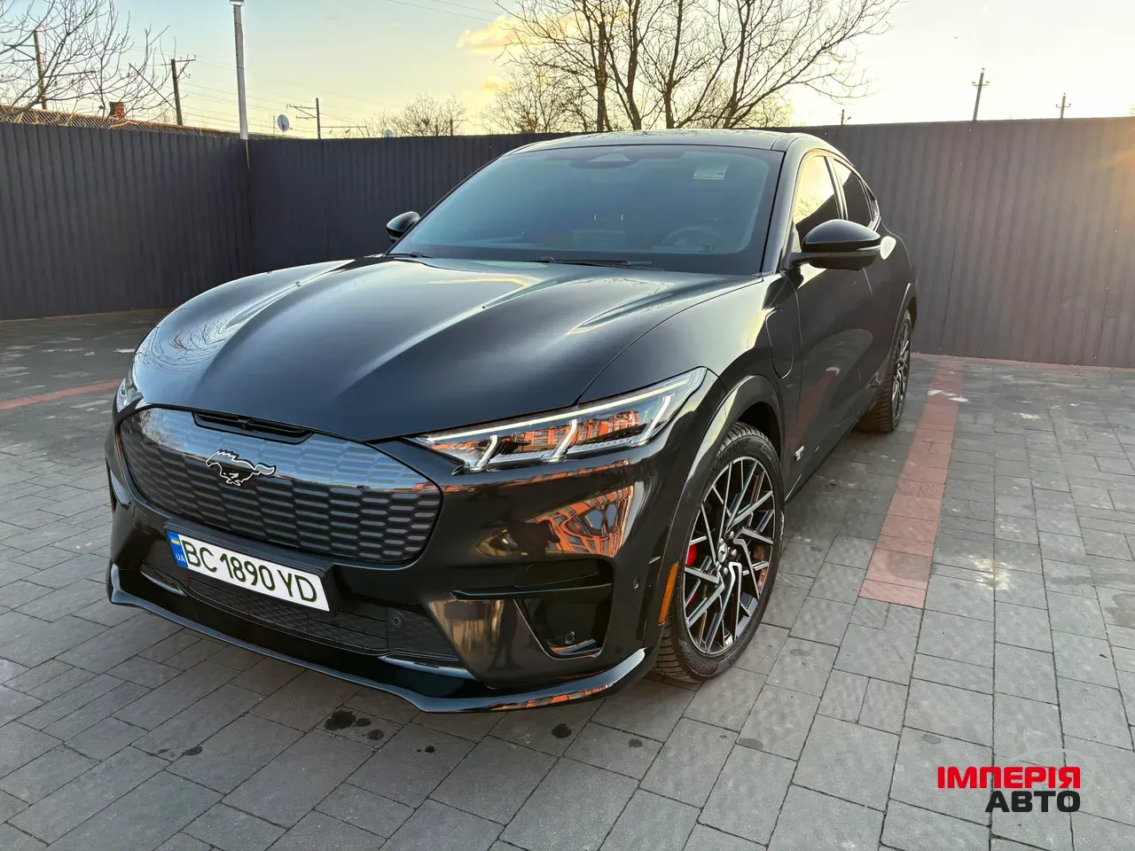 Ford Mustang Mach-E - фото 1