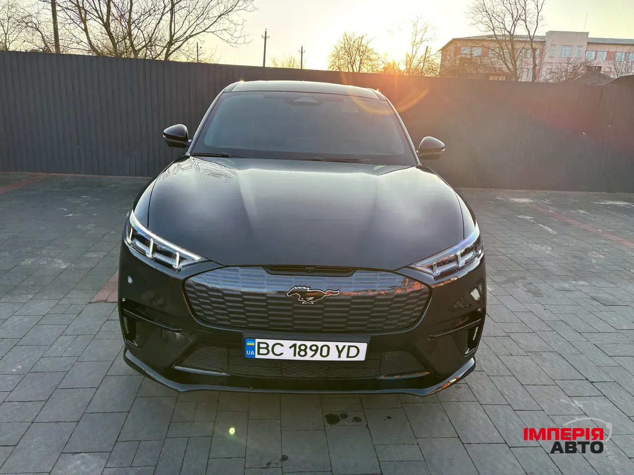 Ford Mustang Mach-E - фото 10