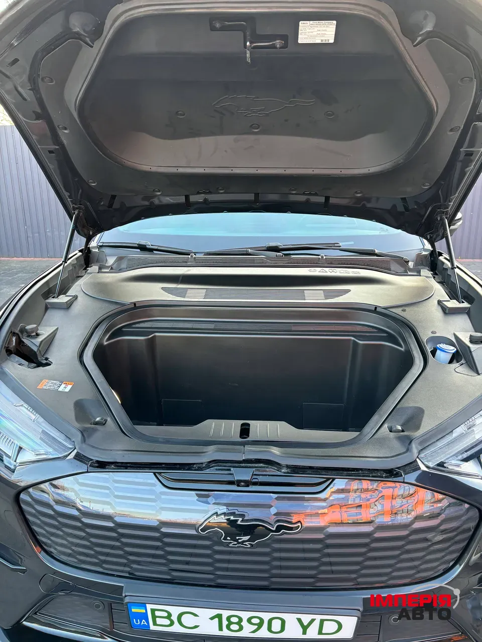 Ford Mustang Mach-E - фото 27