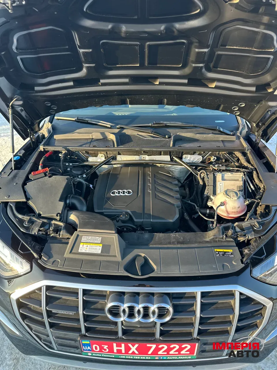 Audi Q5 - фото 38