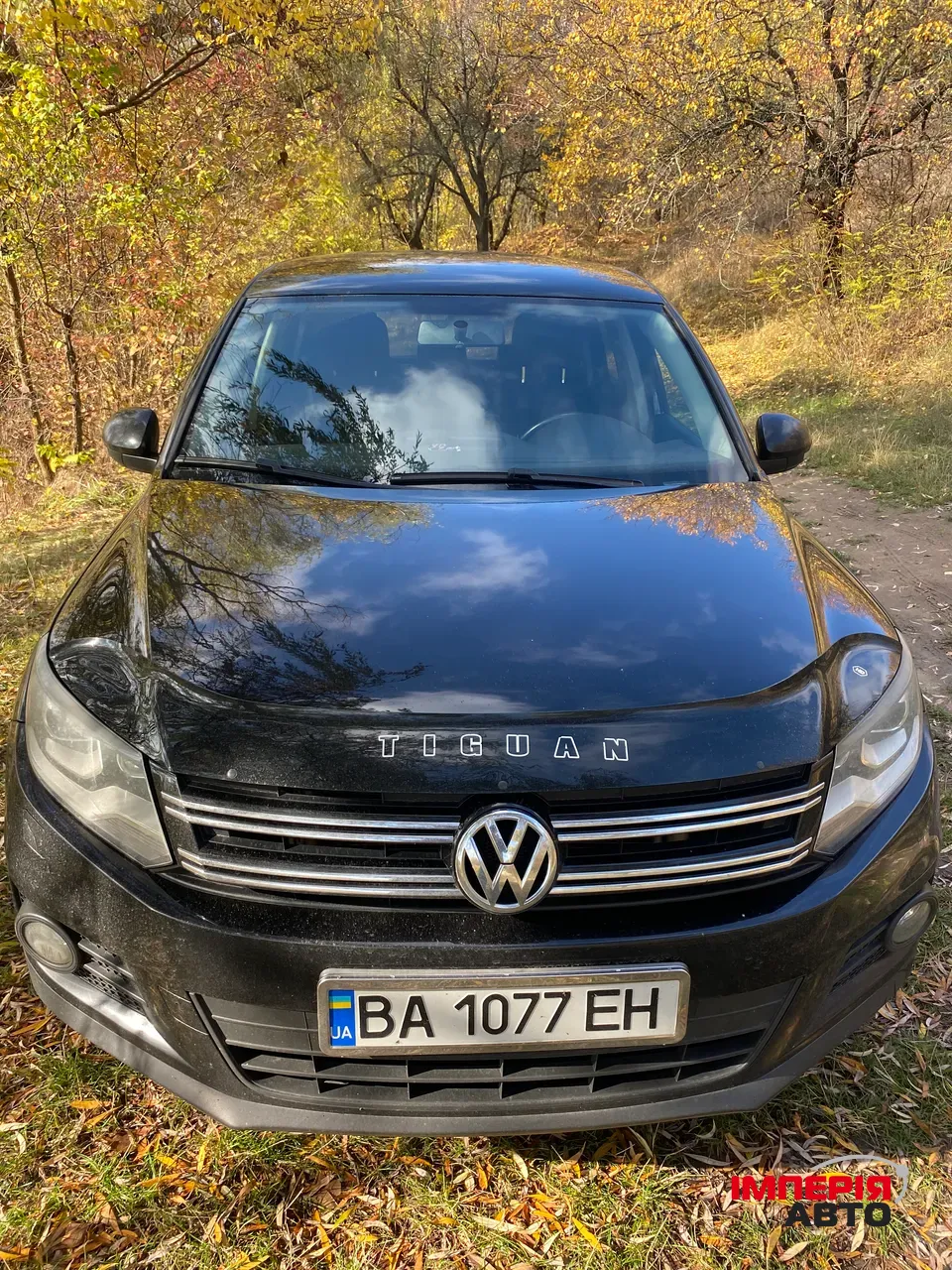 Volkswagen Tiguan - фото 3