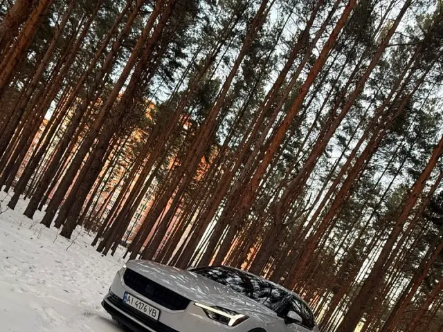 Polestar 2 - фото 4