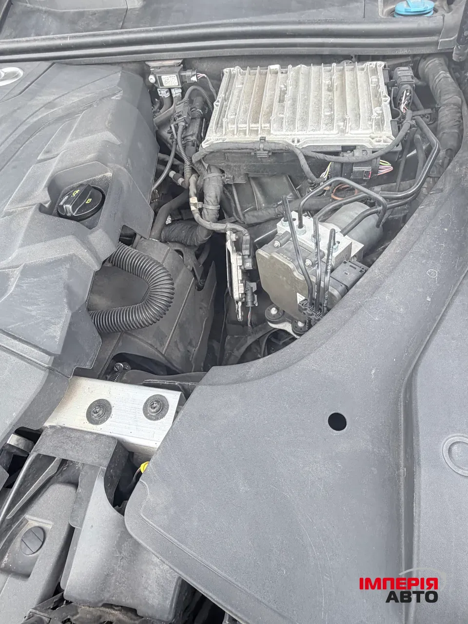 Audi Q8 - фото 53