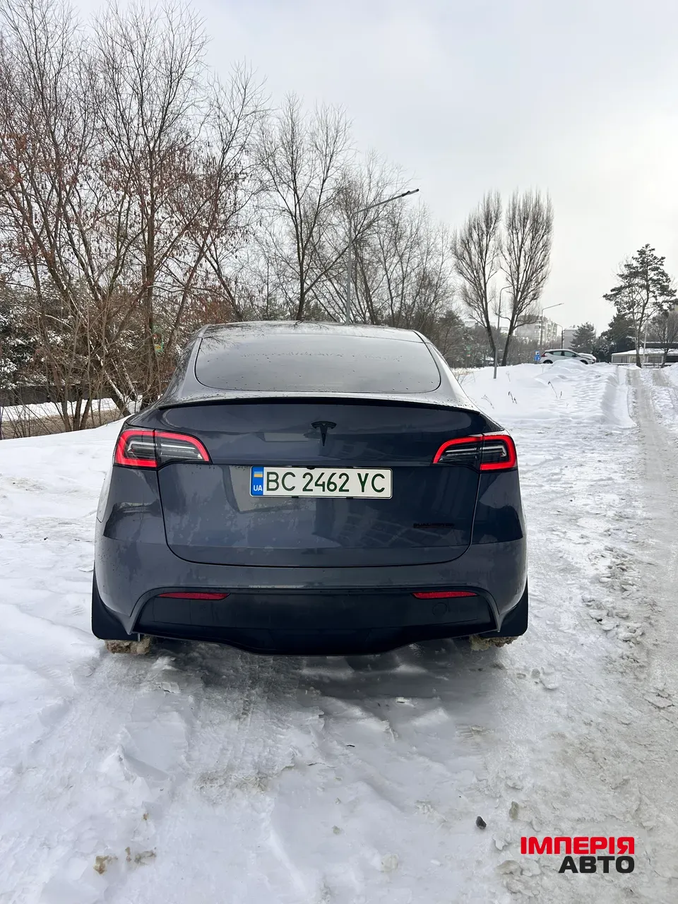 Tesla Model Y - фото 15