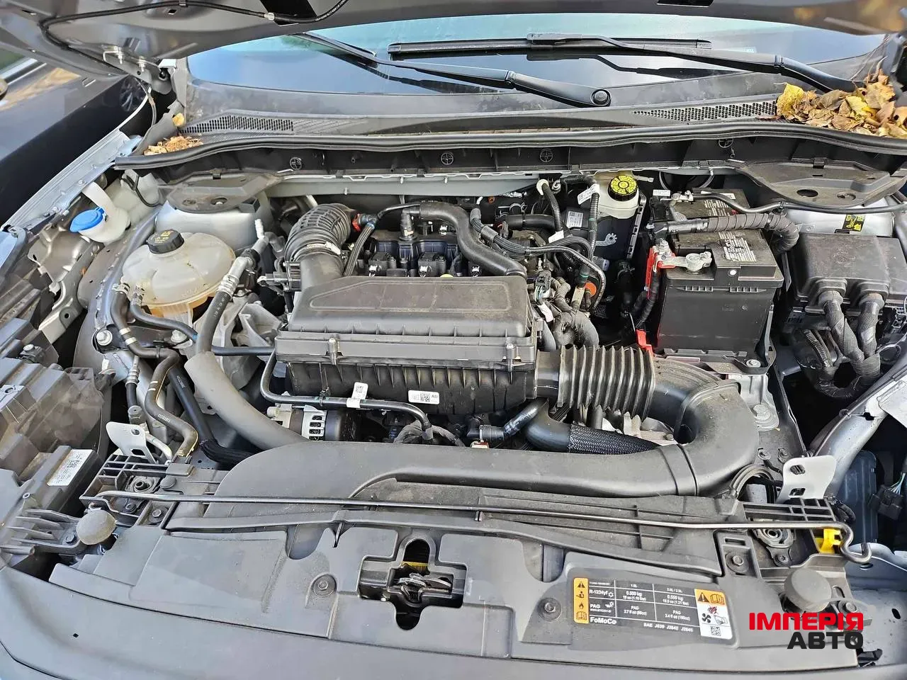 Ford Escape - фото 7