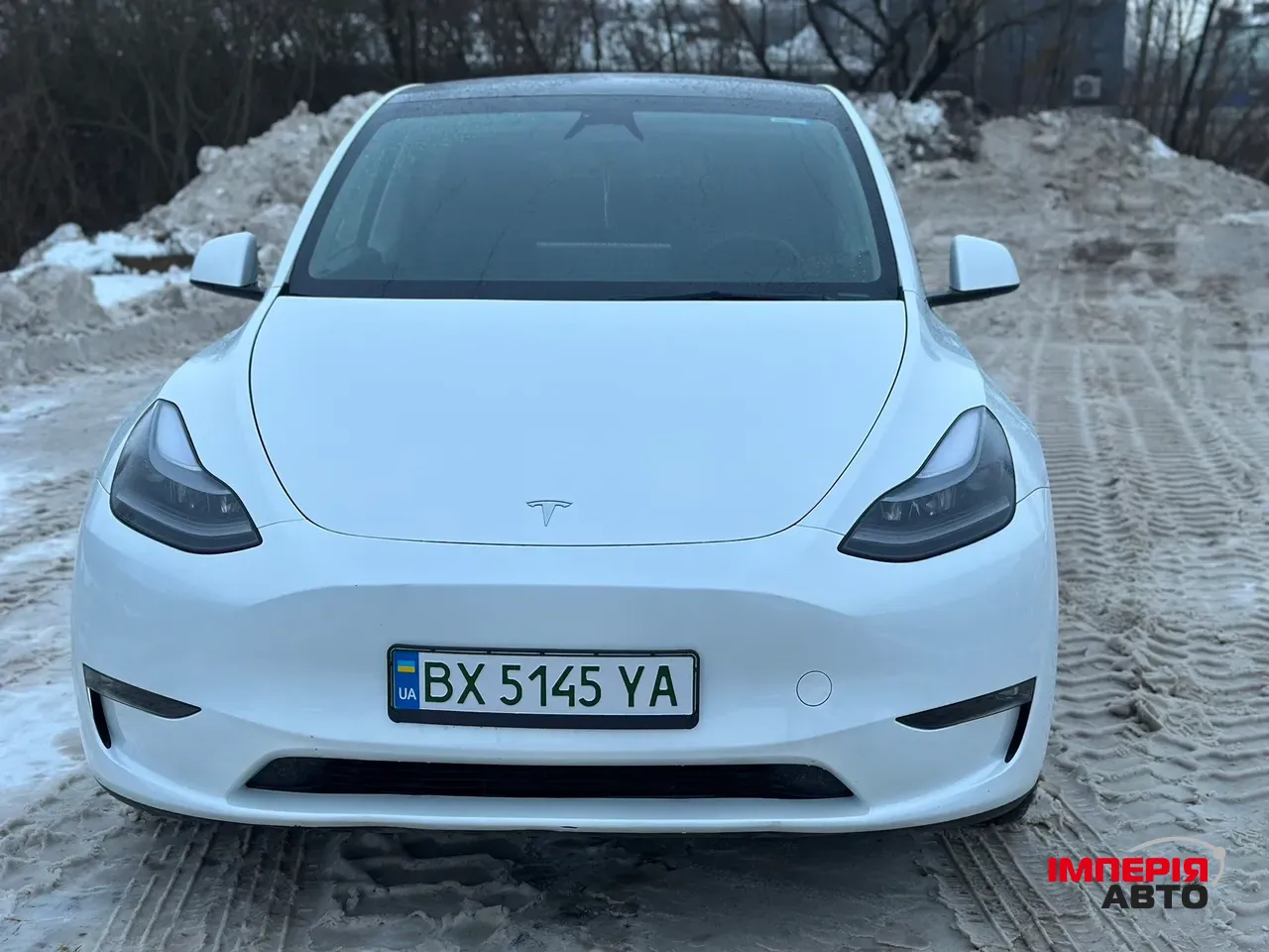 Tesla Model Y - фото 7