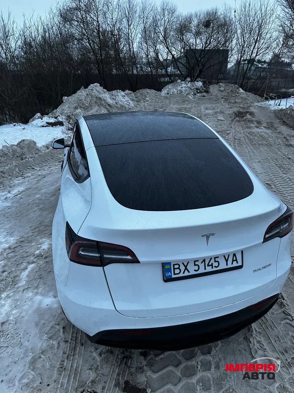 Tesla Model Y - фото 6