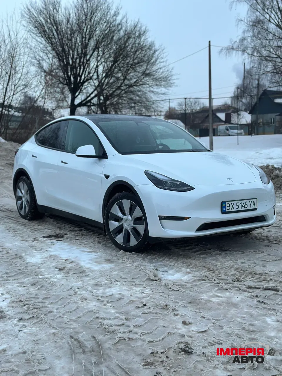 Tesla Model Y - фото 1