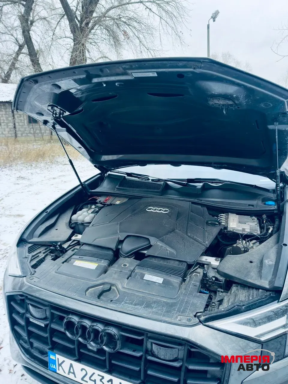 Audi Q8 - фото 10