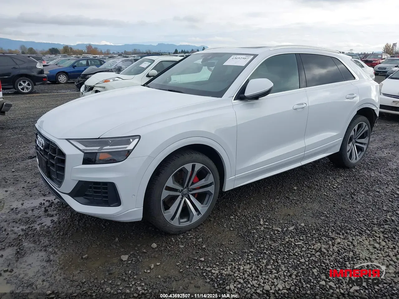 Audi Q8 - фото 3