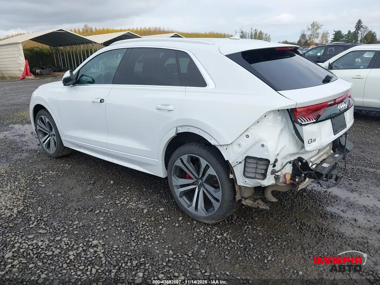 Audi Q8 - фото 4