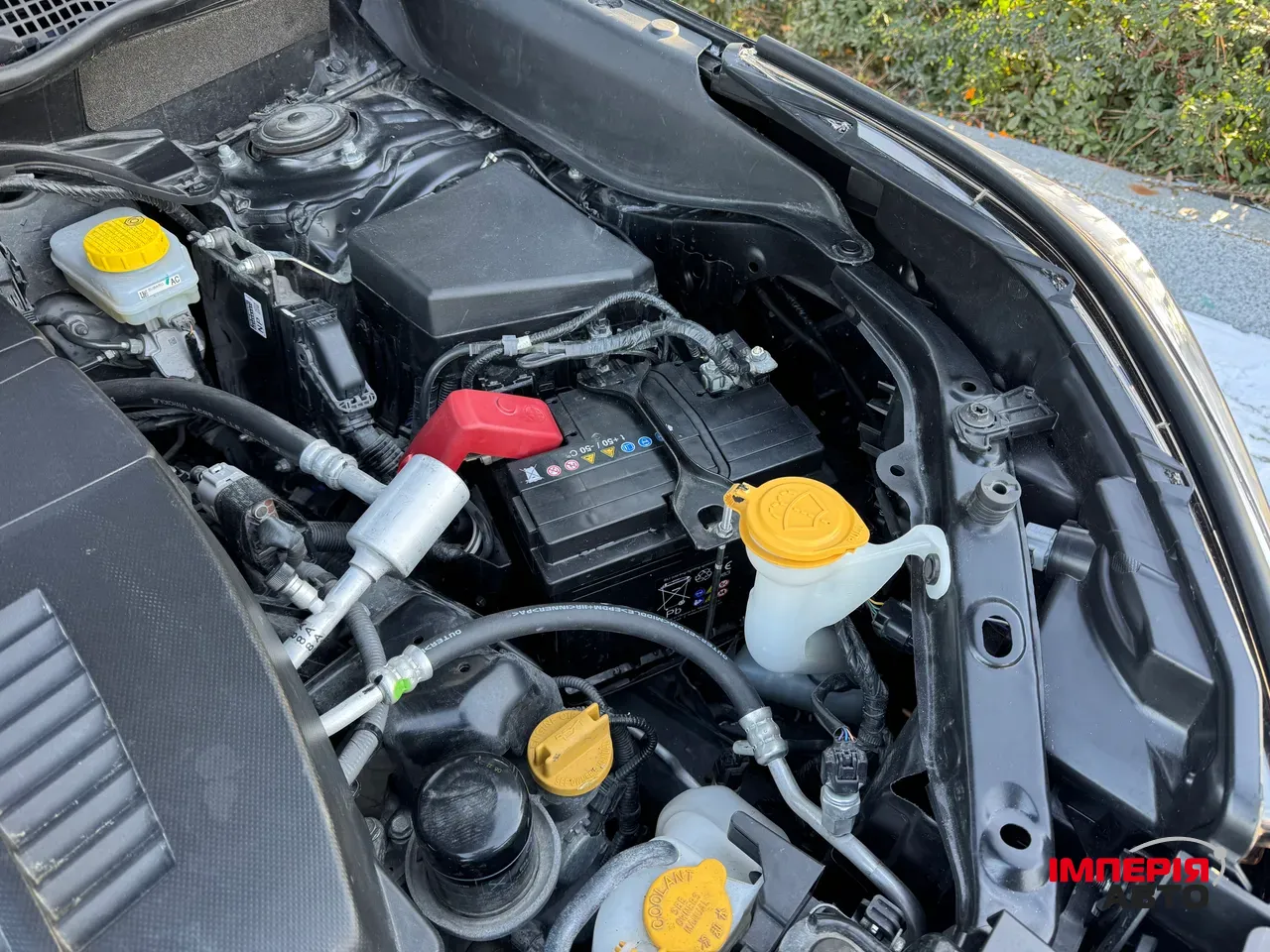 Subaru Forester - фото 58