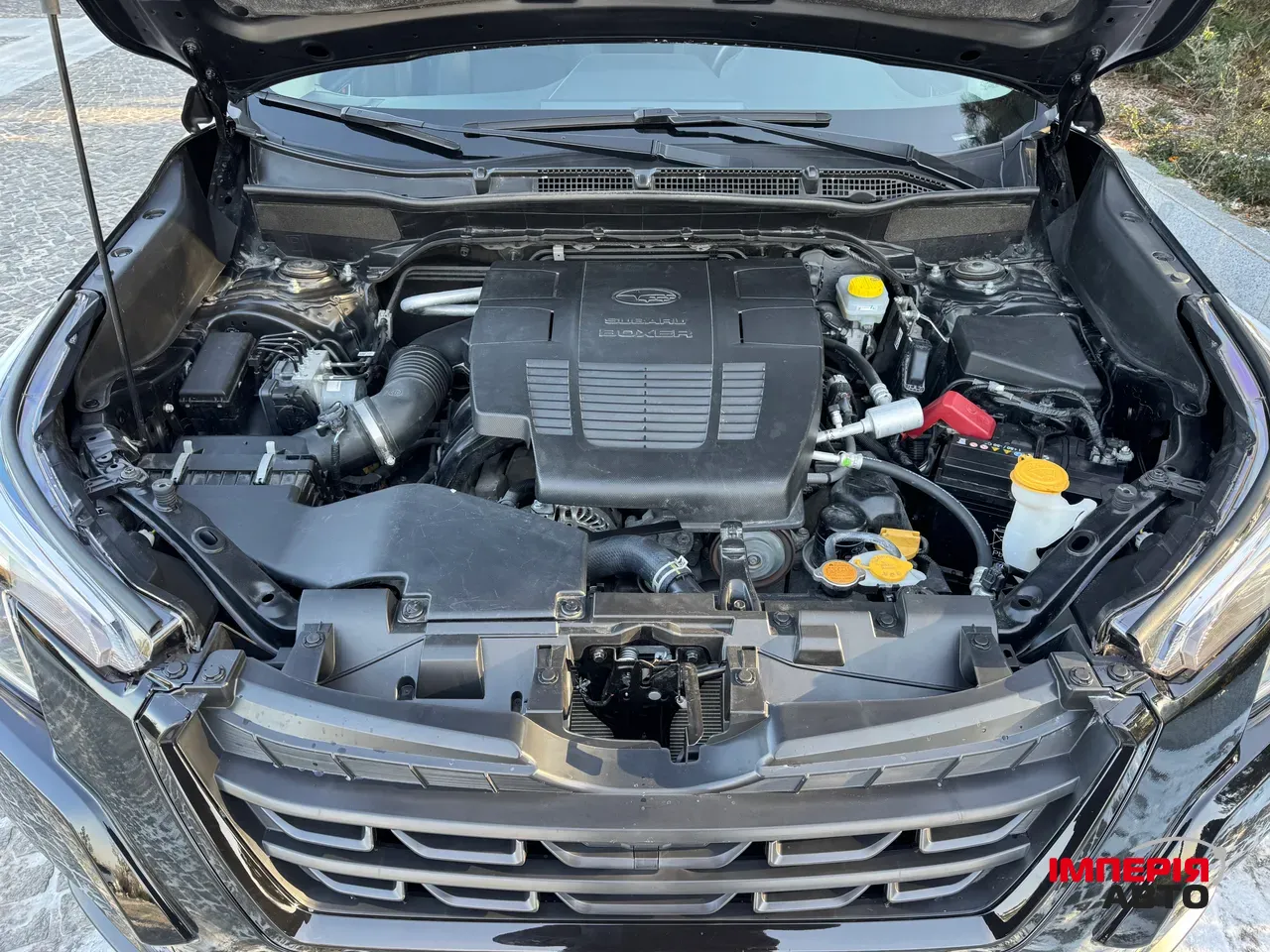 Subaru Forester - фото 56