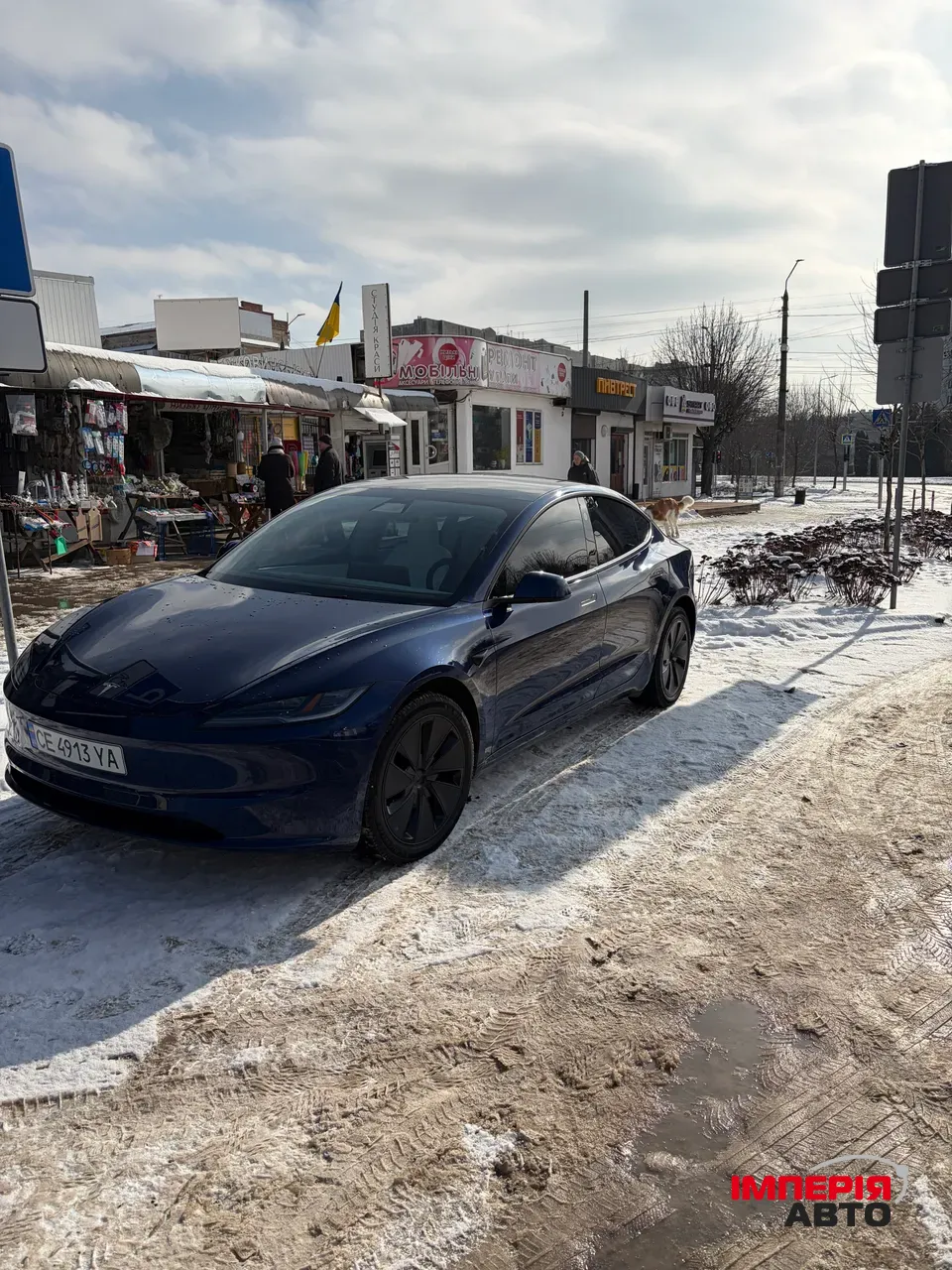 Tesla Model 3 - фото 3