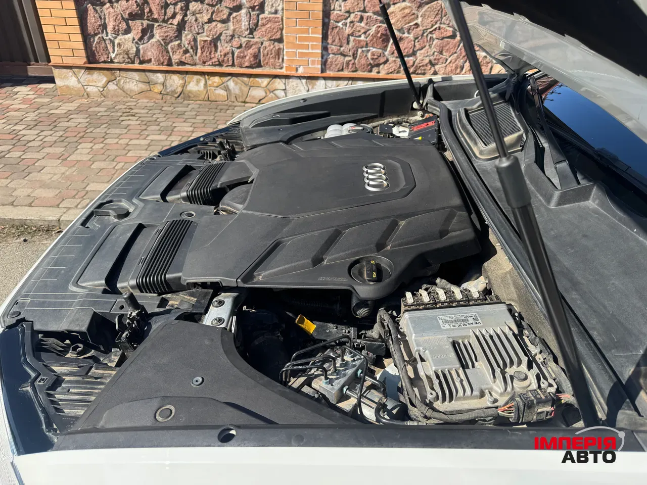 Audi Q8 - фото 58