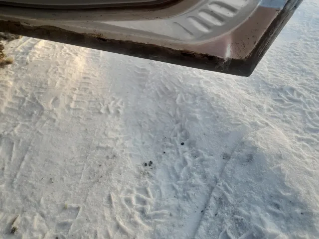 Lada (ВАЗ) Priora - фото 4