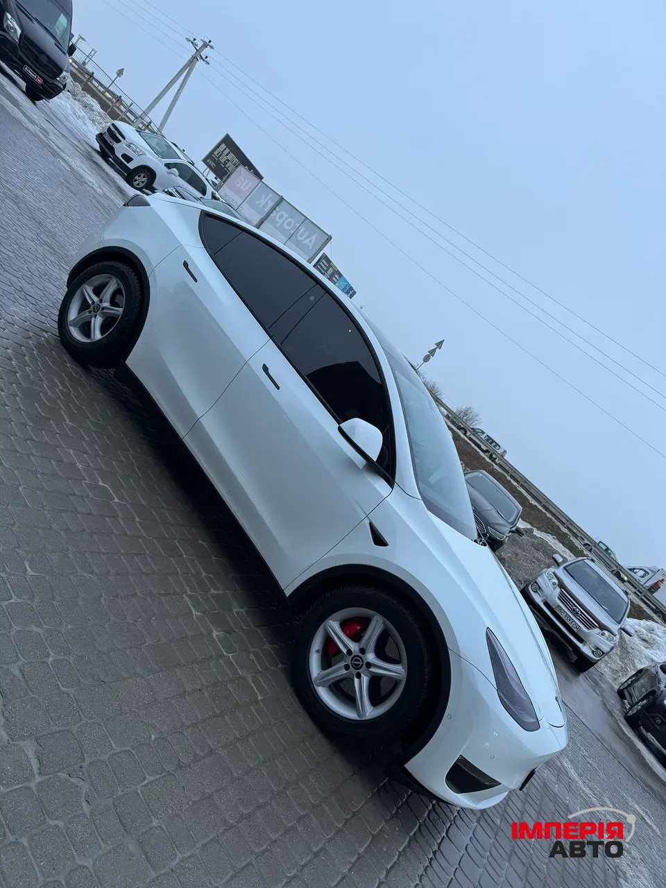 Tesla Model Y - фото 6