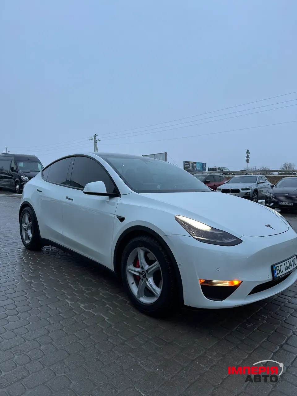 Tesla Model Y - фото 1
