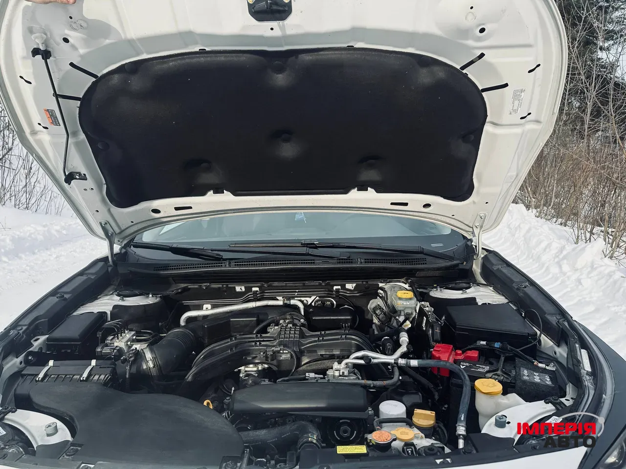 Subaru Outback - фото 14