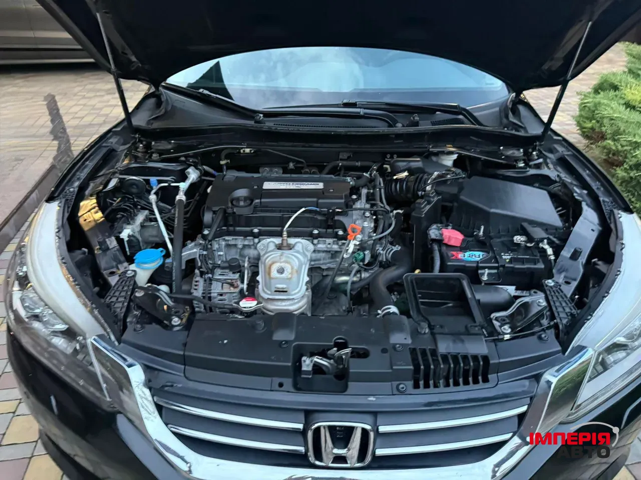 Honda Accord - фото 10