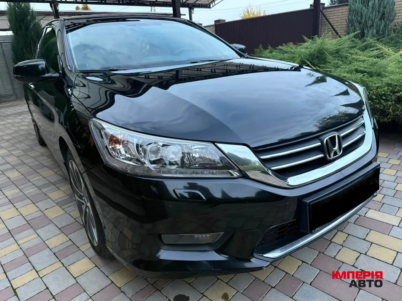 Honda Accord - фото 3