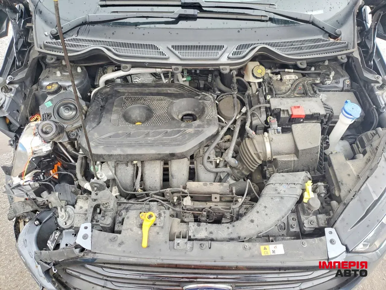 Ford EcoSport - фото 14